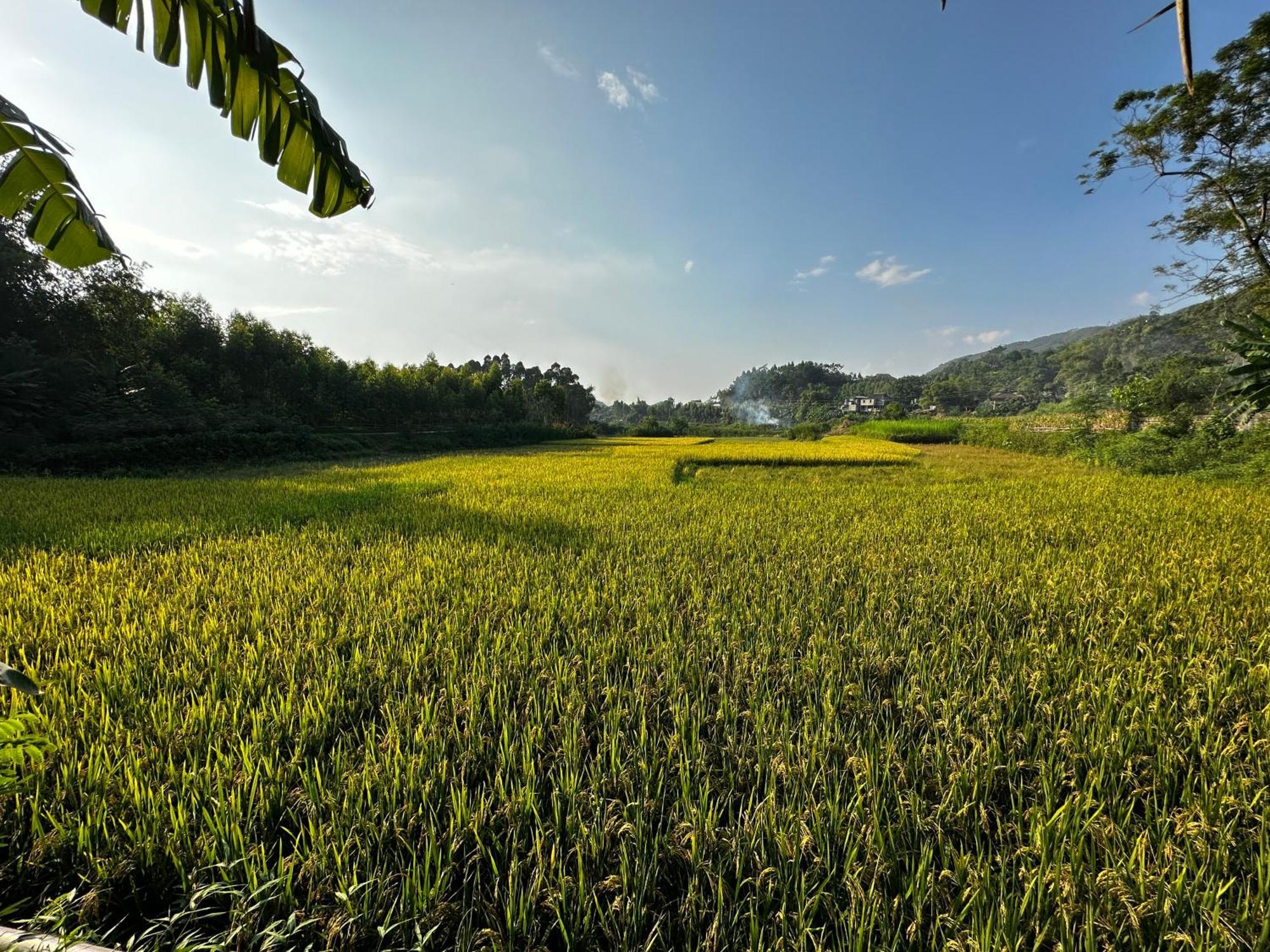 Vulinh Family -Homestay Yen Binh Exterior foto