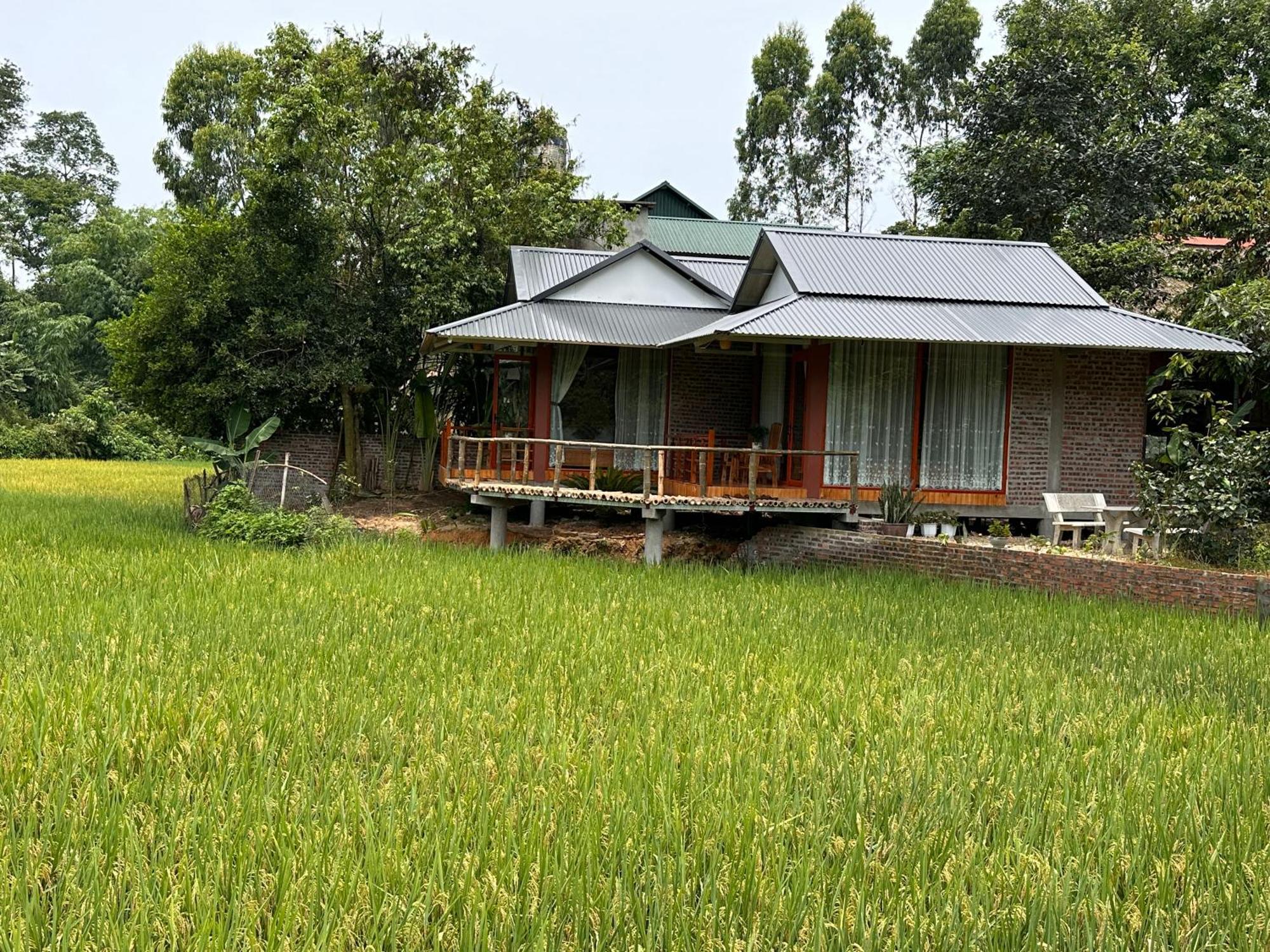 Vulinh Family -Homestay Yen Binh Exterior foto